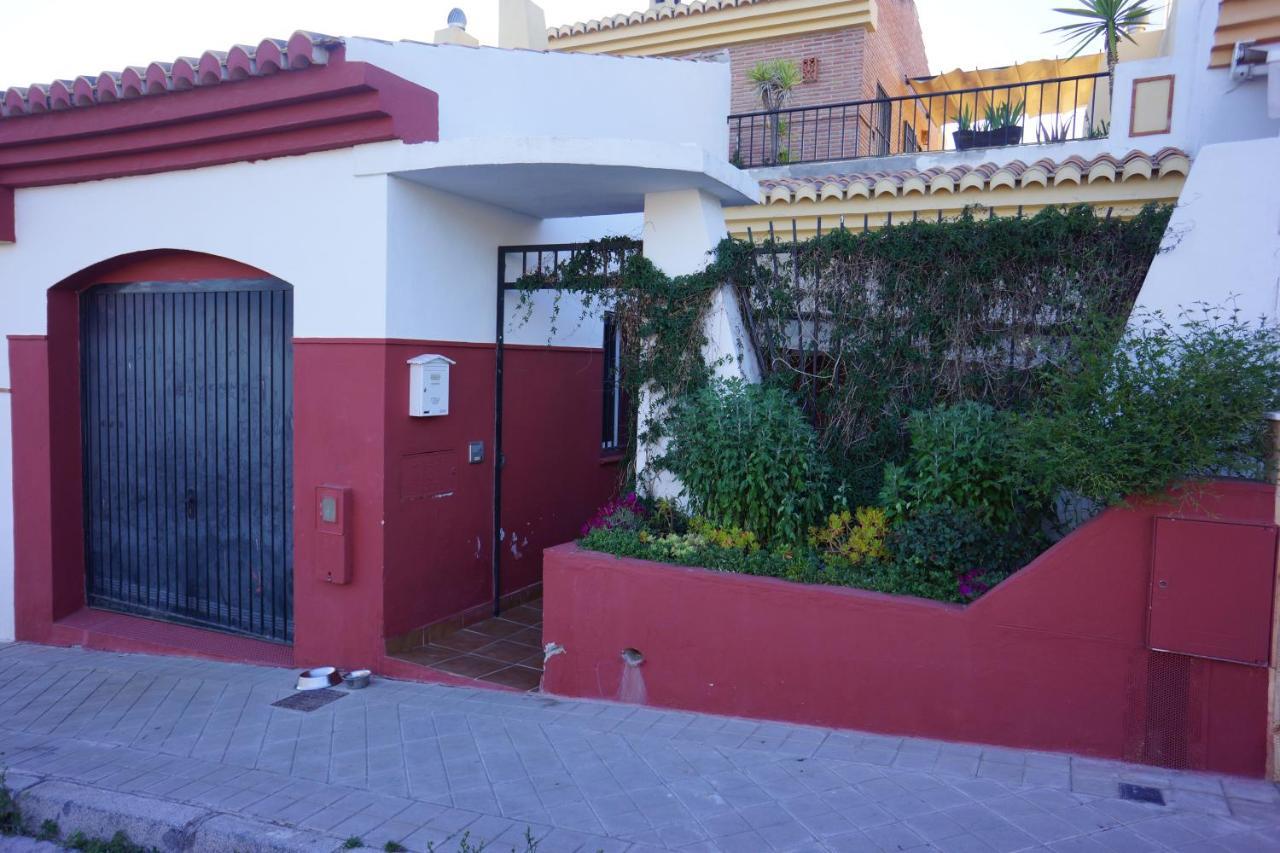 Comfortable Single Bluing Room B&B Granada Eksteriør billede
